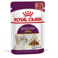 ROYAL CANIN Sensory Smell Gravy